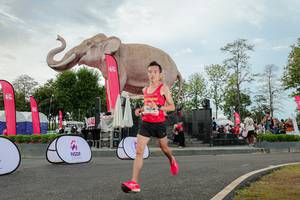 BIB: 
                            <button type="button" onclick="openModal(26528711)" class="btn btn-primary btn-sm float-right btn-popup" data-toggle="modal" data-target=".modal-high-quality">
                        <i class="fas fa-shopping-cart"></i> Add to Cart
                    </button>
                                            <button type="button" onclick="isThisMe(26528711, true)" class="btn btn-success btn-sm float-right btn-popup btn-isme hidden" data-toggle="tooltip" data-placement="bottom" title="นี่คือรูปของคุณใช่ไหม คลิกที่นี่เพื่อเอาเข้าอัลบั้ม">
                        <i class="fas fa-plus"></i> Add to album
                    </button>
                    <button type="button" onclick="isThisMe(26528711, false)" class="btn btn-warning btn-sm float-right btn-popup btn-isnotme hidden">
                        <i class="fas fa-ban"></i> Remove from album
                    </button>